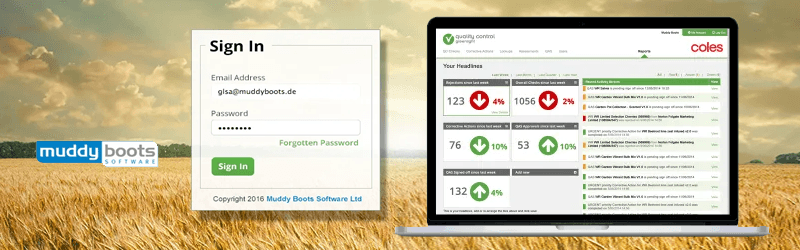 Muddy Boots - web design UX by Martin Gray